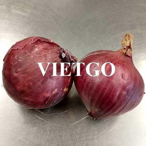 Thương vụ xuất khẩu hành tím sang thị trường Ấn Độ