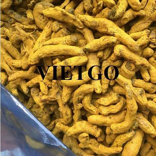 Thương vụ hợp tác xuất khẩu sản phẩm nghệ khô nguyên củ sang thị trường Trung Quốc