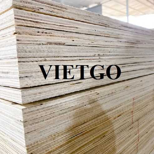 Cơ hội xuất khẩu sản phẩm ván ép hàng hải sang thị trường Ấn Độ