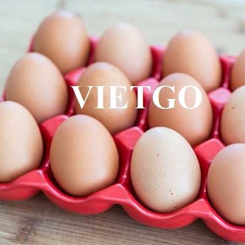 Cơ hội hợp tác xuất khẩu trứng sang thị trường UAE