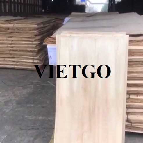 Thương vụ xuất khẩu ván bóc bạch đàn sang thị trường Ấn Độ