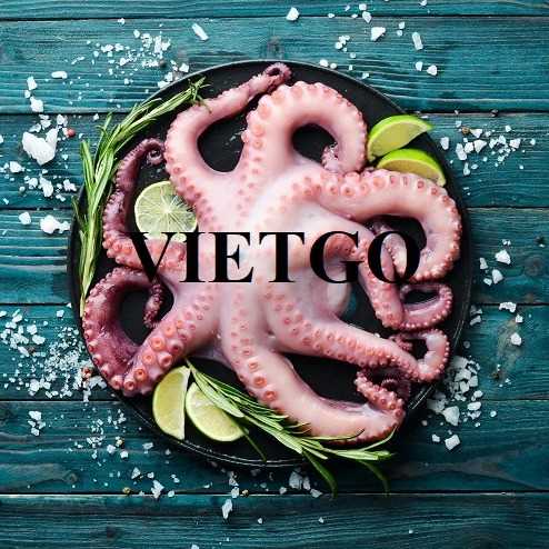 Cơ hội giao thương xuất khẩu mực và bạch tuộc đông lạnh sang thị trường Ý