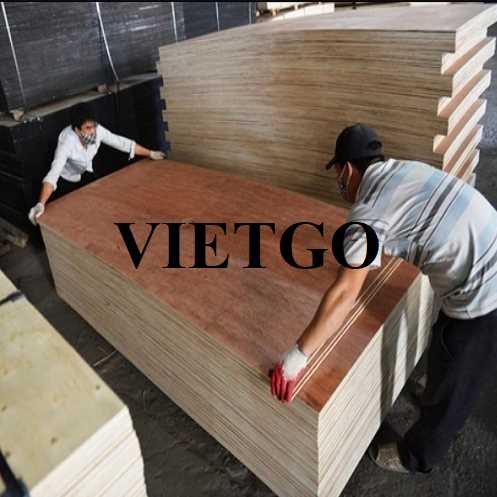 Thương vụ xuất khẩu gỗ dán sang thị trường Ấn Độ