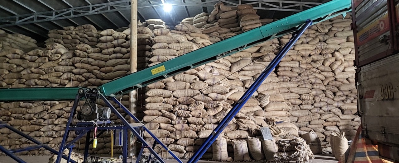 Cần tìm FWD báo giá cước hàng điều đi Bồ Đào Nha