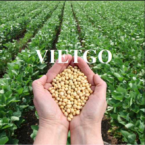 Cơ hội hợp tác xuất khẩu đậu nành sang thị trường Trung Quốc