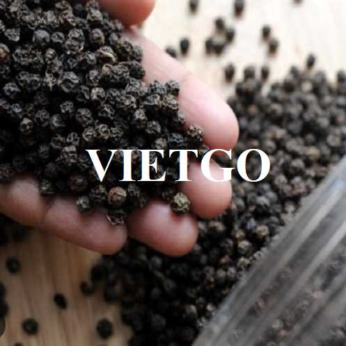 Cơ hội hợp tác xuất khẩu hạt tiêu đến thị trường Ấn Độ