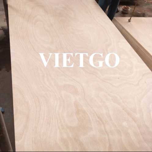 Thương vụ xuất khẩu gỗ dán sang thị trường Ấn Độ 