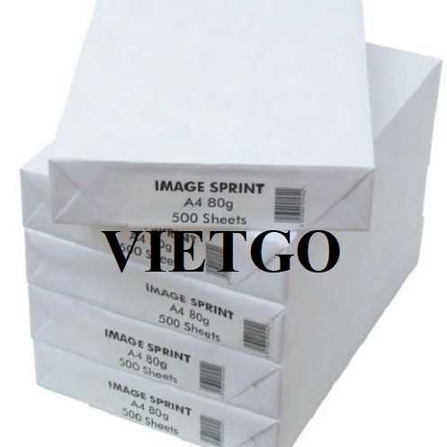 Thương vụ xuất khẩu sản phẩm giấy A4 sang thị trường Ai Cập