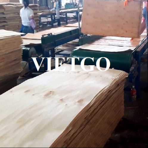 Thương vụ xuất khẩu ván bóc sang thị trường Ấn Độ