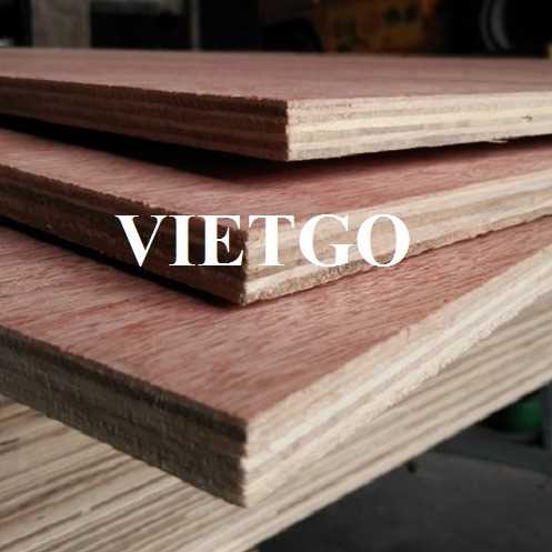 Thương vụ xuất khẩu gỗ dán sang thị trường Ấn Độ 