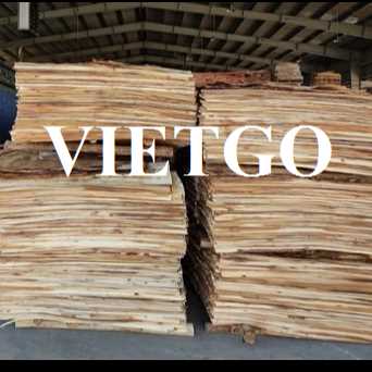 Thương vụ xuất khẩu ván bóc sang thị trường Ấn Độ 
