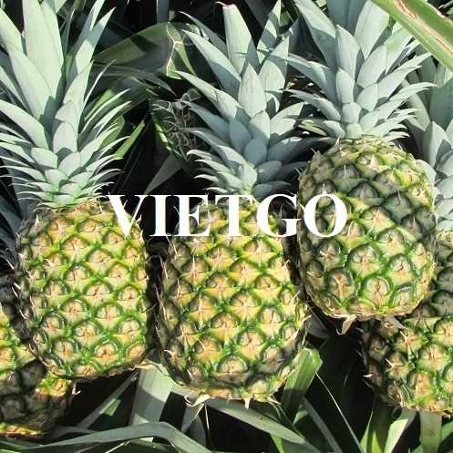 Cơ hội xuất khẩu dứa sang thị trường Thổ Nhĩ Kỳ