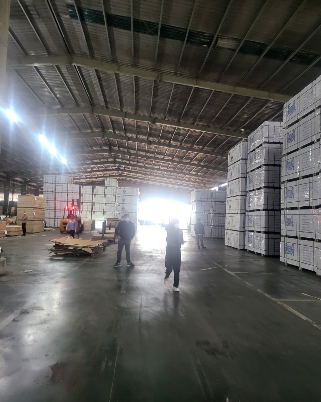 Cần tìm đơn vị vận tải vận chuyển gỗ dán đi cảng Mundra, Ấn Độ  