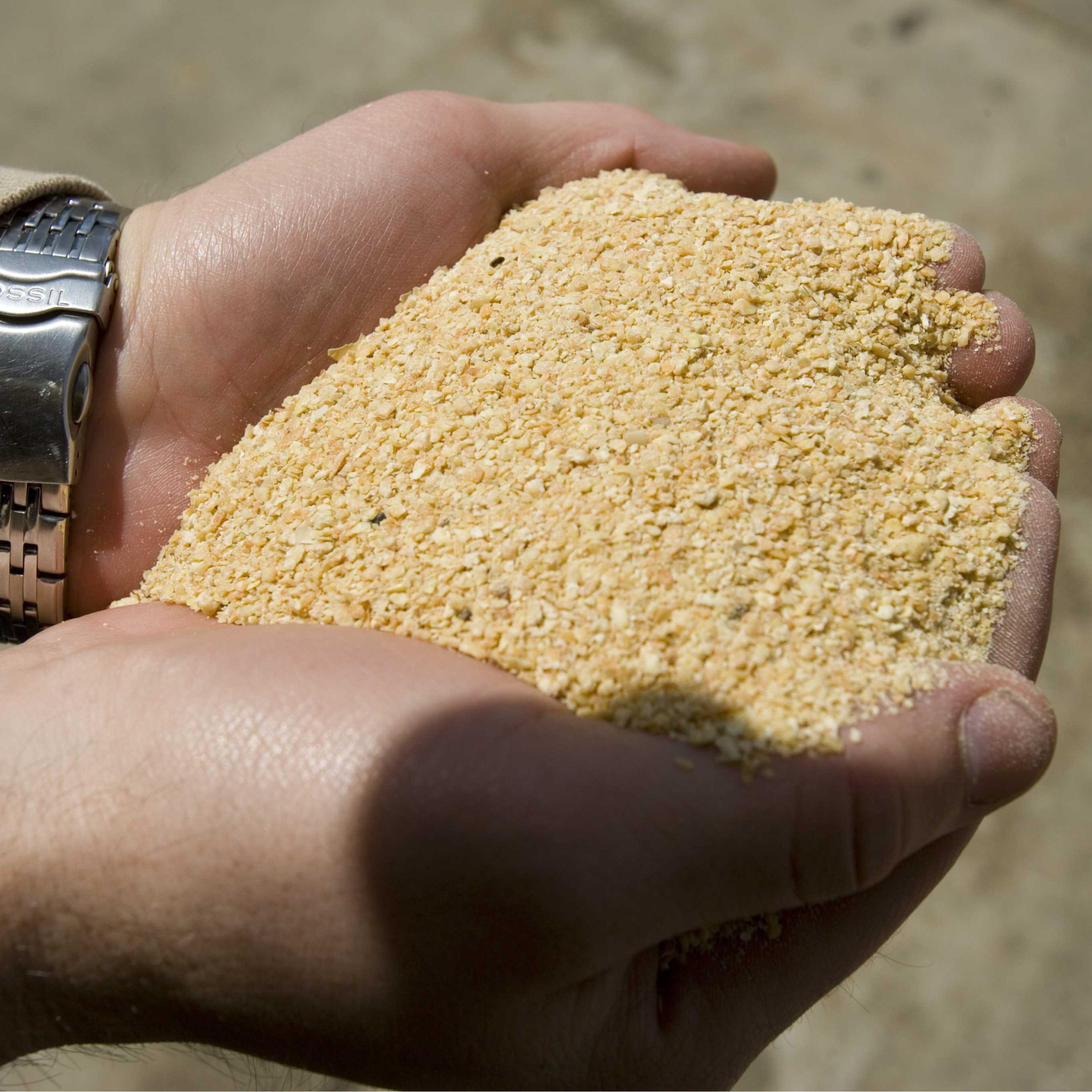 I am looking for 1 container 40ft weekly of soybean meals suppliers. 
