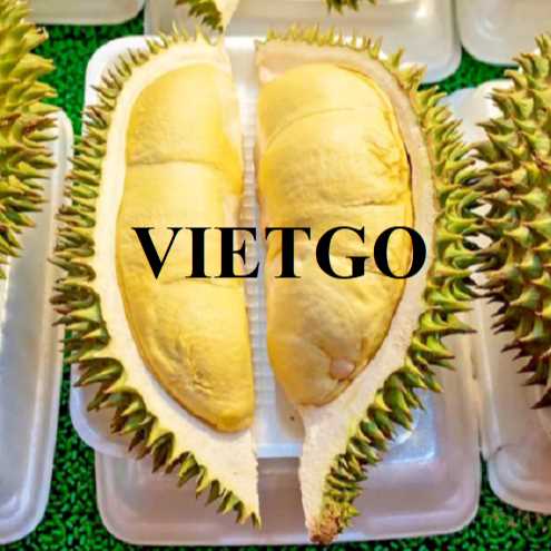 Cơ hội hợp tác xuất khẩu sầu riêng đầy hấp dẫn sang Cộng hòa Séc
