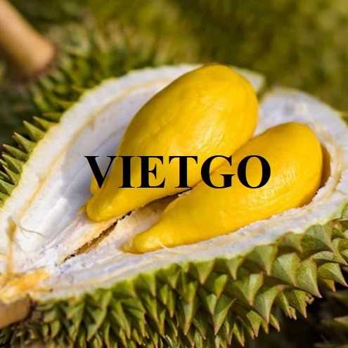 Cơ hội xuất khẩu sầu riêng Ri6 sang thị trường UAE