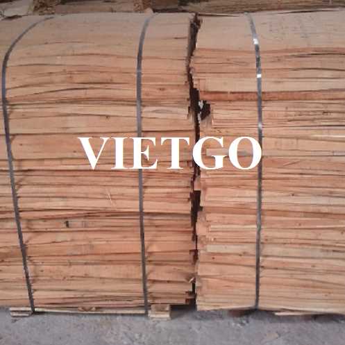 Thương vụ hợp tác xuất khẩu sản phẩm ván bóc sang thị trường Ấn Độ