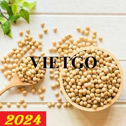 Cơ hội hợp tác xuất khẩu đậu nành sang thị trường Trung Quốc