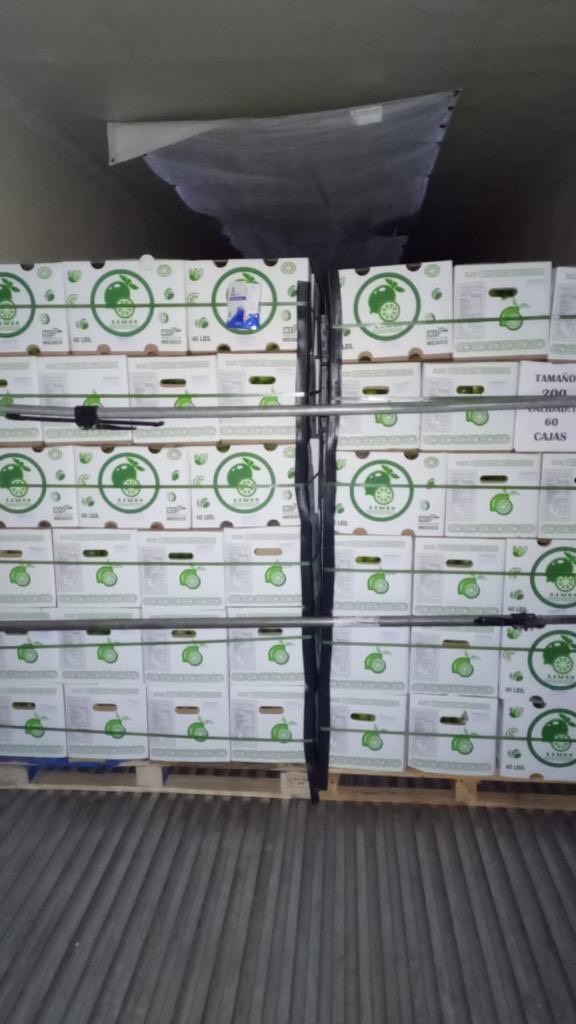 TÌM ĐƠN VỊ VẬN TẢI BIỂN  MẶT HÀNG THÙNG CARTON ĐI MEXICO