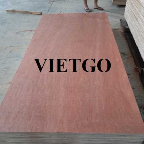 Thương vụ xuất khẩu gỗ dán sang thị trường Ấn Độ 