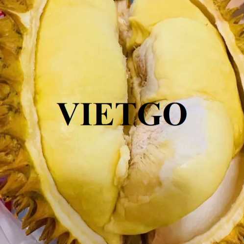 Cơ hội xuất khẩu sầu riêng Golden Pillow sang thị trường Trung Quốc