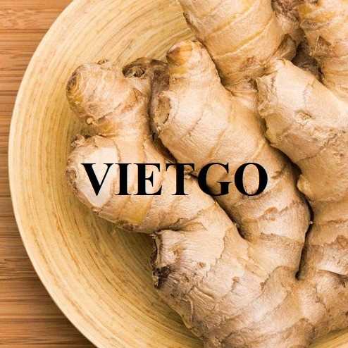 Cơ hội hợp tác xuất khẩu sản phẩm gừng tới thị trường Liban