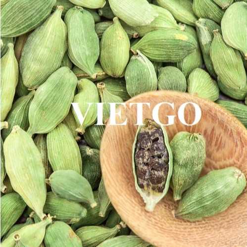 Cơ hội xuất khẩu thảo quả đến thị trường Ấn Độ