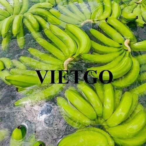 Thương vụ hợp tác xuất khẩu chuối xanh cavendish sang thị trường Iran