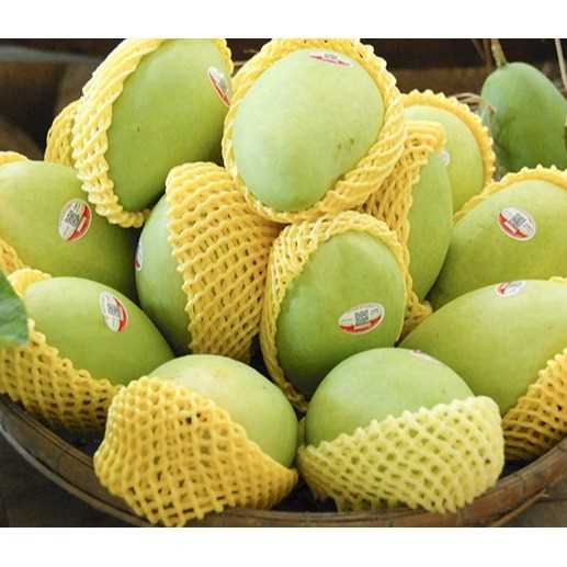 I am looking for mango
