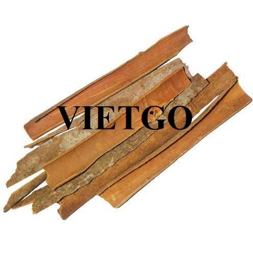 Cơ hội hợp tác xuất khẩu quế sang thị trường Ấn Độ