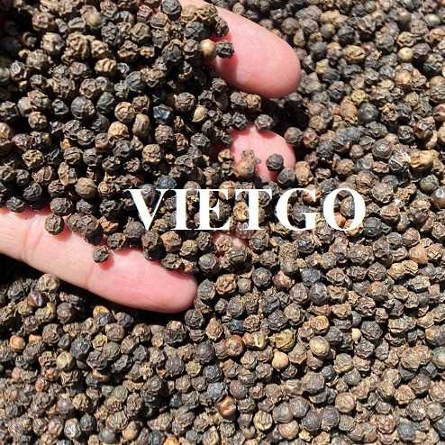 Cơ hội hợp tác xuất khẩu sản phẩm hạt tiêu đen sang thị trường Ý