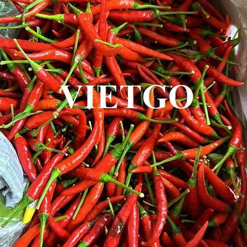 Cơ hội hợp tác xuất khẩu ớt tươi sang thị trường Albania và Hy Lạp
