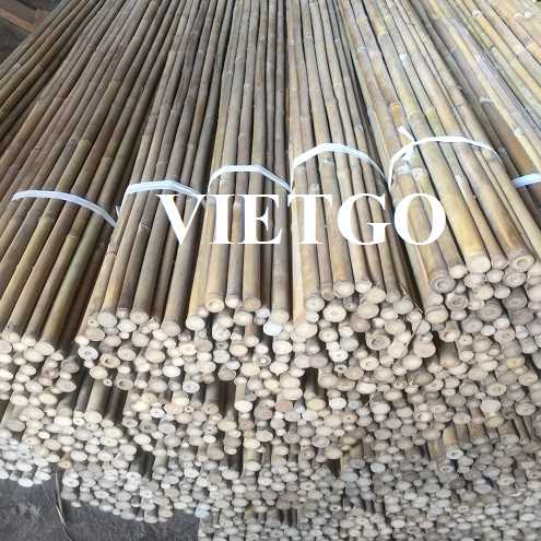 Cơ hội xuất khẩu gậy tre sang thị trường Thổ Nhĩ Kỳ