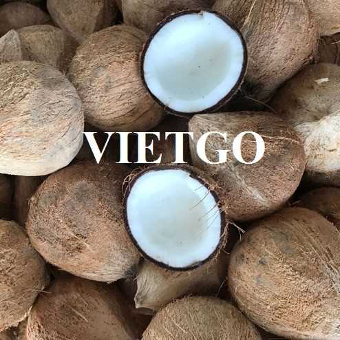 Thương vụ hợp tác xuất khẩu dừa sang thị trường Litva