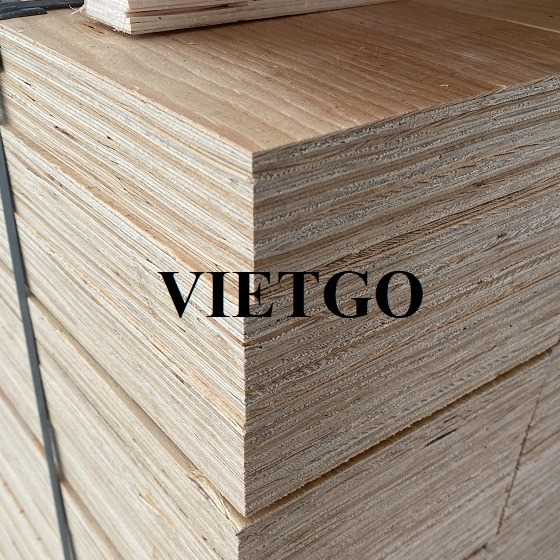 Thương vụ xuất khẩu sản phẩm gỗ dán LVL đến thị trường Ấn Độ