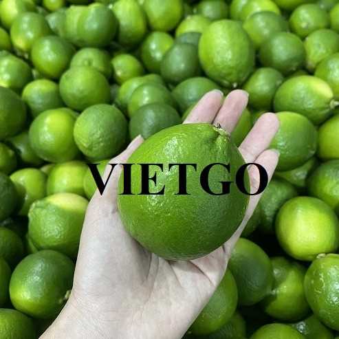 Cơ hội hợp tác xuất khẩu chanh xanh không hạt sang thị trường Albania và Hy Lạp