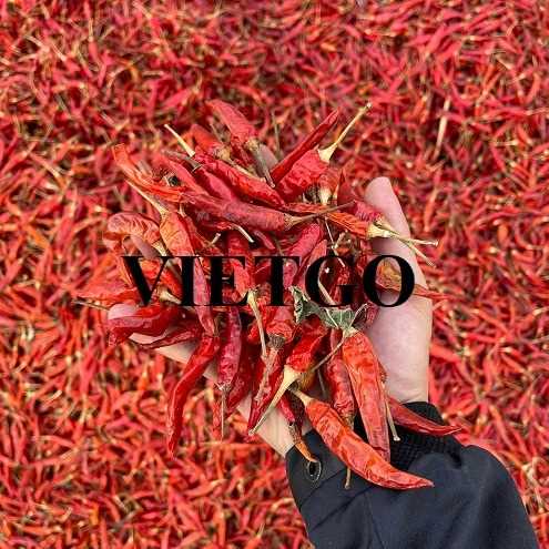 Thương vụ xuất khẩu ớt khô có cuống sang thị trường Sri Lanka