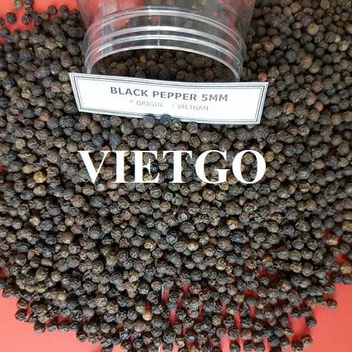 Cơ hội hợp tác xuất khẩu hạt tiêu đen đến thị trường Ấn Độ