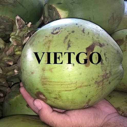 Cơ hội xuất khẩu dừa sang thị trường Thổ Nhĩ Kỳ