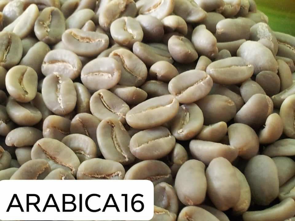 Cần tìm cước biển mặt hàng cà phê đi Mỹ
