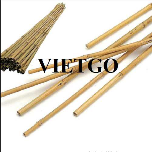 Cơ hội xuất khẩu gậy tre sang thị trường UAE