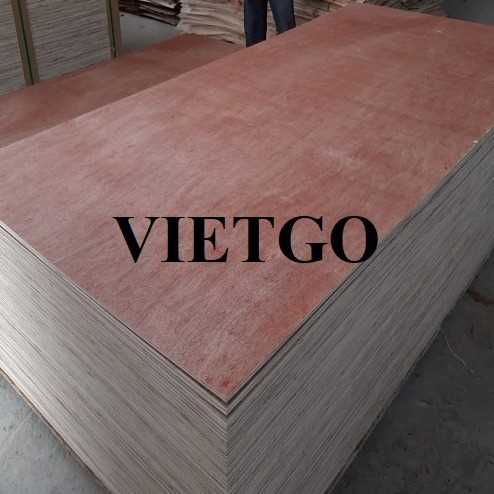 Thương vụ xuất khẩu gỗ dán sang thị trường Ai Cập