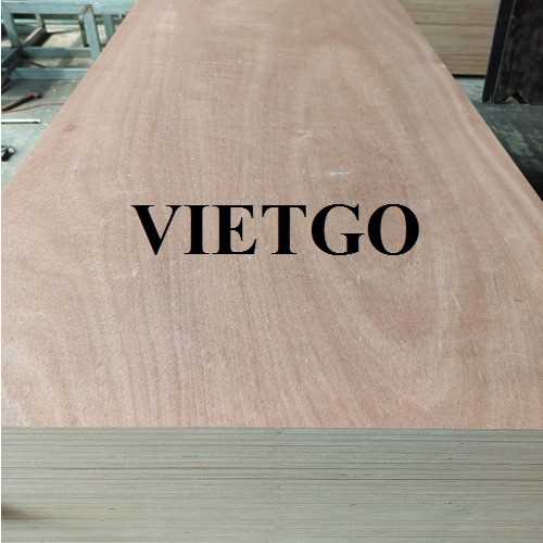 Thương vụ xuất khẩu gỗ dán sang thị trường Ấn Độ