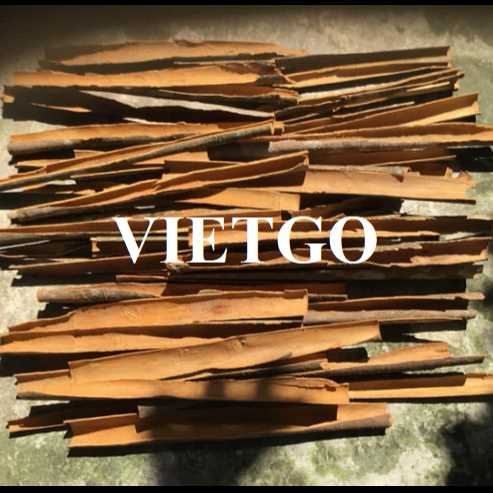 Cơ hội hợp tác xuất khẩu quế sang thị trường Ấn Độ