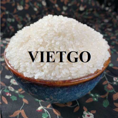 Cơ hội hợp tác xuất khẩu gạo Camolino đến thị trường Albania