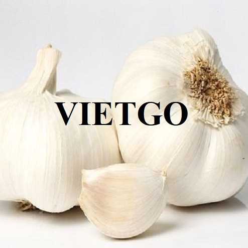 Cơ hội hợp tác xuất khẩu tỏi trắng sang thị trường Tây Ban Nha
