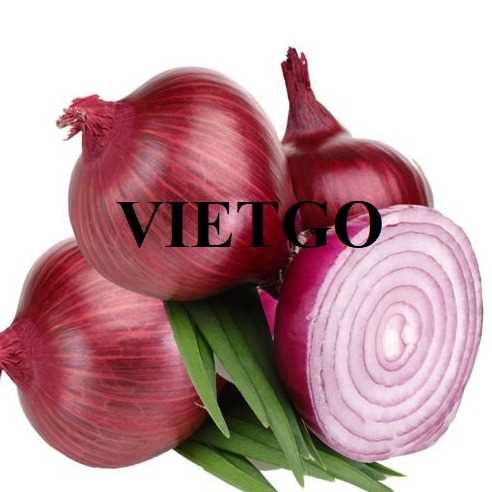 Thương vụ xuất khẩu hành tím sang thị trường Ấn Độ