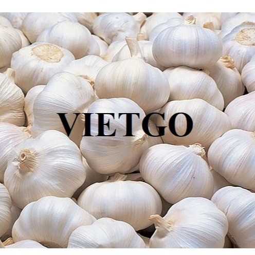 Thương vụ xuất khẩu sản phẩm tỏi đến thị trường Bangladesh