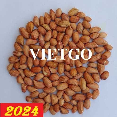 Cơ hội hợp tác xuất khẩu lạc nhân đến thị trường Trung Quốc