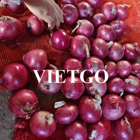 Cơ hội hợp tác xuất khẩu hành tím đến từ vị khách hàng tại Ba Lan